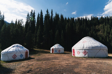 Wall Mural - traditional Asian nomadic white yurts near the forest in summer in the steppes of Kazakhstan