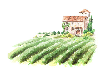 Landscape with vineyard  and Tuscan Chateau. Hand drawn watercolor illustration  isolated on white background