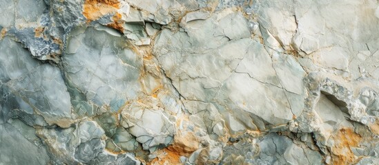 Wall Mural - A detailed close-up of a bedrock rock with a striking marble texture, showcasing the intricate natural material that adds beauty to the landscape.
