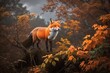 Alert in the Autumn: A Red Fox Pauses