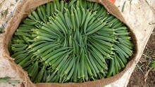 Overhead View Of A Basket Filled With Fresh Okra