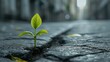 © Anna Lurye - A small plant bravely growing in the middle of a city street, showcasing the beauty of nature's resilience in urban environments or as a metaphor for strength and perseverance