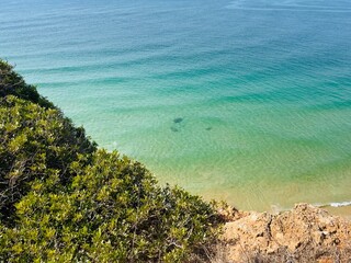 Wall Mural - azure ocean surface, rocky coast