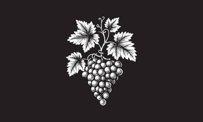 grapes vine monochrome grapes vine logo black and white sticker of grapes vine black and white badge of grapes vine black and white patch of grapes vine white outlines isolated on black background