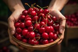Close-up hands holding a basket filled with red sweet cherries, top view. Concept of organic healthy food and non-GMO fruits.
