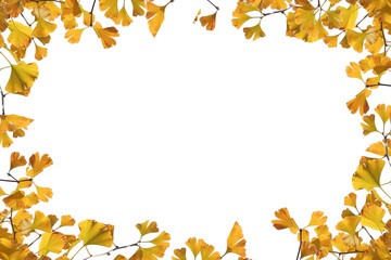 Wall Mural - autumn leaves frame frame