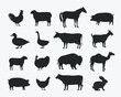 Vector Farm Animals Set. Silhouettes of Cow, Pig, Sheep, Lamb, Hen, Goat, Horse, Turkey. Design elements for emblem, poster, label. Farm Animals icons isolated on white background.
