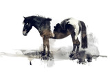 Fototapeta  - Horse isolated on transparent background