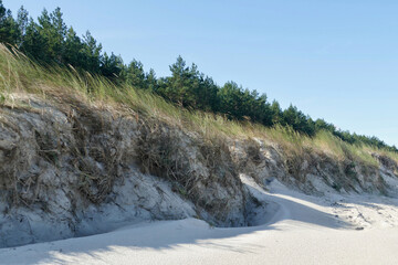 Wall Mural - Sand dunes on beach at Choczewo, Poland