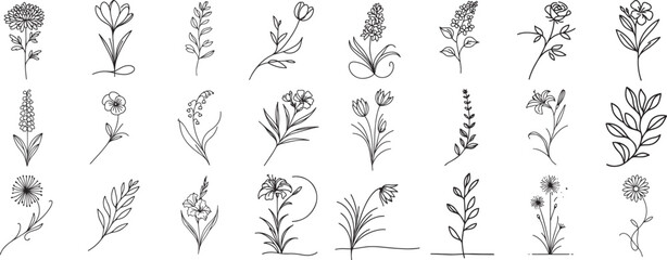 Wall Mural - flowers and herbs drawn with thin line in doodle style laser cutting engraving
