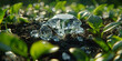Geschliffener Diamant in der Erde mt Pflanzen, ai generativ
