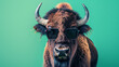 A bison makes a fashion statement with stylish sunglasses against a sage green background, creating a quirky and eye-catching image.