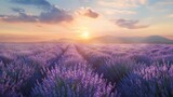 Fototapeta Do przedpokoju - A field of blooming lavender at sunset