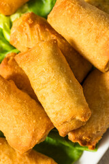 Canvas Print - Chinese Deep Fried Vegetable Egg Rolls