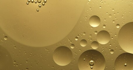 Wall Mural - slow motion macro of floating micro particles molecules in liquid are analyzed with microscope by ch