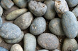 Close-up view of smooth pebble stones with varied textures and colors, perfect for natural backgrounds..