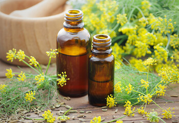 Wall Mural - Fennel seed or essential oil  on wooden rusric background with fresh flowers nearby, copy space, natural medicine, aromatherapy, sleep and stress care tea concept