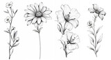 Fototapeta Kosmos - Black and white flowers, sketch, clipart, lineart, ink. Generative ai