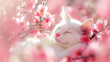 Cute sleeping or dreaming white cat among pink sakura flowers, soft focus, blurred floral background