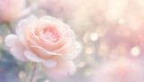 Fototapeta Tulipany - Różowe kwiaty, róża na pastelowym tle, puste miejsce, tapeta	