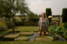 Landscaping And Water Gardens. Portrait Of A Woman In Her 60s Inside A Pond Growing Aquatic Plants Such As Victoria Cruziana With Giant Green Floating Leaves And Xin Jin Xia Lotus With A White Flower.