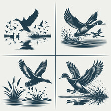 Mallard Duck Hunting  Vector Bundle File ,Black And White Flying Ducks Silhouette File , Flying Wood Duck Water Landing Svg
