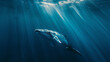 a cinematic photo of a whale in the deep blue sae, stunning sunbeams cutting through the water, medium distance