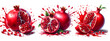 Pomegranate watercolor hand drawn on white background