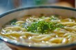 KAKE UDON Japanese dish of hot soup with udon noodles