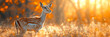 Banner of a Gazelle on Blurred Nature Background,
