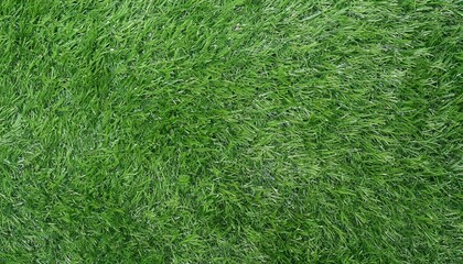 Wall Mural - Flat lay Artificial lawn synthetic turf Artficial grass texture background