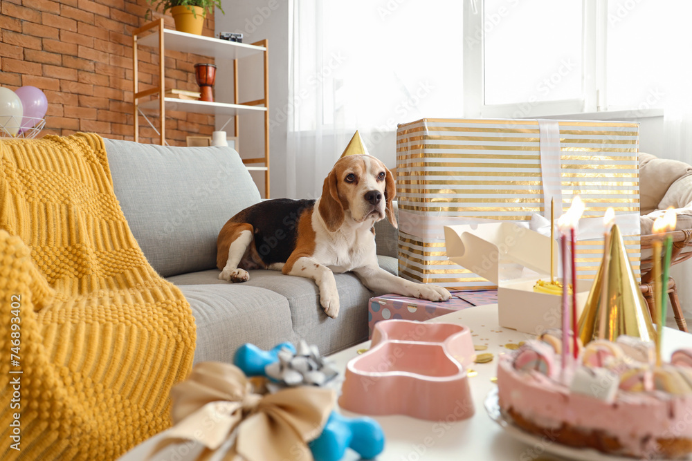 Cute Beagle dog with party hat celebrating birthday at home