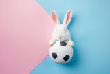 Fototapeta Panele - Easter bunny rabbit with football on background.