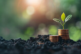 Fototapeta  - Stacks of coins sit atop rich soil, with a plant, background for sustainable finance development, investment growth, and financial success concept.