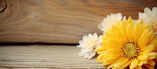 Poster - Three white and yellow flowers are displayed on a wooden surface. The flowers are vibrant and fresh, adding a touch of beauty to the natural wooden backdrop.