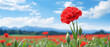 Field of bright blooming red Carnation flowers in a wide green meadow with clear blue sky and sunny weather created with Generative AI Technology