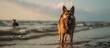 A German shepherd dog is enjoying the natural landscape of a beach, standing near the ocean with the sky, water, clouds, and wood in the background.