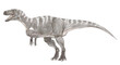 メガロサウルス　恐竜研究史において最初に発見された獣脚類ゆえに多くの化石が混入し近年ようやくメガロサウルス類として確立した。学名は『大きなトカゲ』であり、その名は、あまりにも大まかで曖昧。発見時の混乱を物語る。