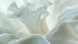 Ivory Whispers: Ipomoea alba blooms evoke whispers of moonlight.