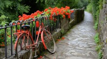 A Red Bicycle Parked Next To A Fence With Red Flowers Growing On The Side Of The Road Next To It.