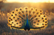 A peacock with its feathers spread out among the lush grass. Surrounded by lively dandelions Evoking the beauty of nature in tranquil and abstract compositions.