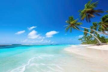 Canvas Print - Palm and tropical beach landscape