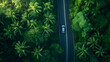 Car driving on asphalt road through lush forest from above
