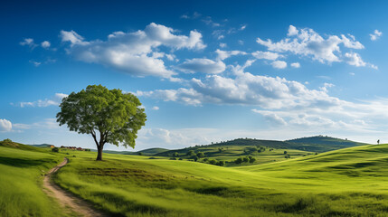 Poster - green field and blue sky. field and clouds