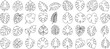 © Arafat - Monstera leaf line art, intricate designs of Monstera leaves, elegant decor, wallpapers, textile prints, nature beauty, detailed artwork of Monstera, tropical hues, visual appeal, artistic value