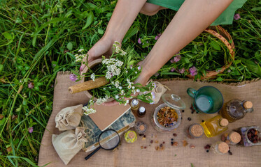 Wall Mural - A woman collects medicinal herbs