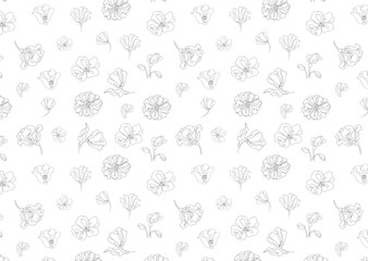 Wall Mural - Seamless pattern Poppy flower one continuous line art. Decoration blossom botanical floral element. Vector doodle isilated illustration.