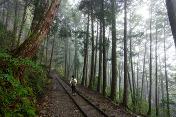 Sticker - Woman go hiking in foggy mist forest in Taipingshan of Taiwan