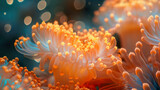 Fototapeta Przestrzenne - A surreal underwater scene featuring the soft glow of coral blooms. 