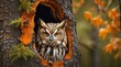 A picture of an owl hiding behind a tree in a big forest.